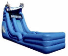 Dolphin Super Splash Water Slide with Landing Rental