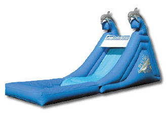 16' Dolphin Splash Down Water Slide with Pool Rental